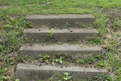 Section 6 Steps